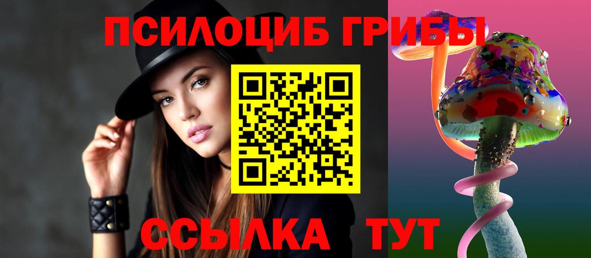 Псилоцибиновые грибы Psilocybine cubensis Энгельс